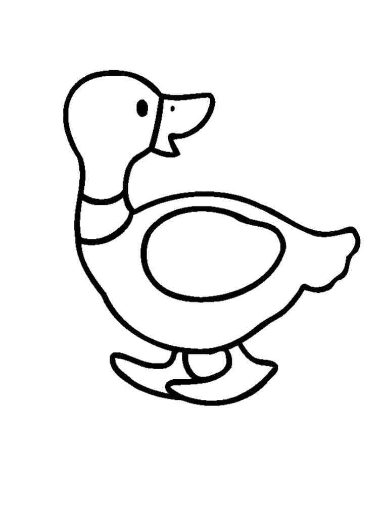 Desenho de Pato Grátis para Colorir