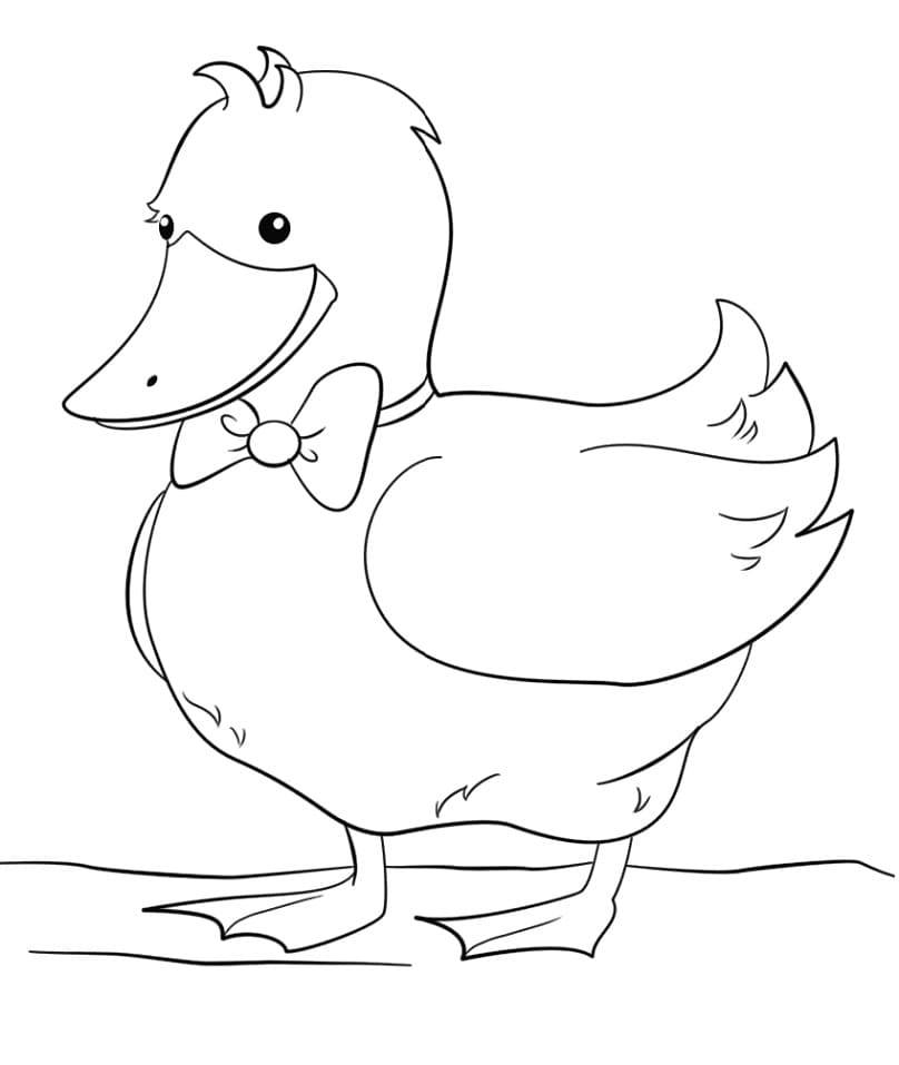 Desenho de Pato Grátis para Crianças para Colorir