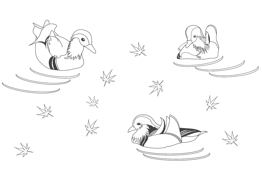 Desenho de Pato para Colorir Pdf Grátis