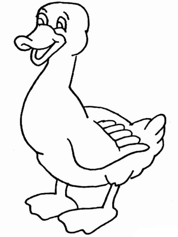 Desenho de Pato para Crianças para Colorir