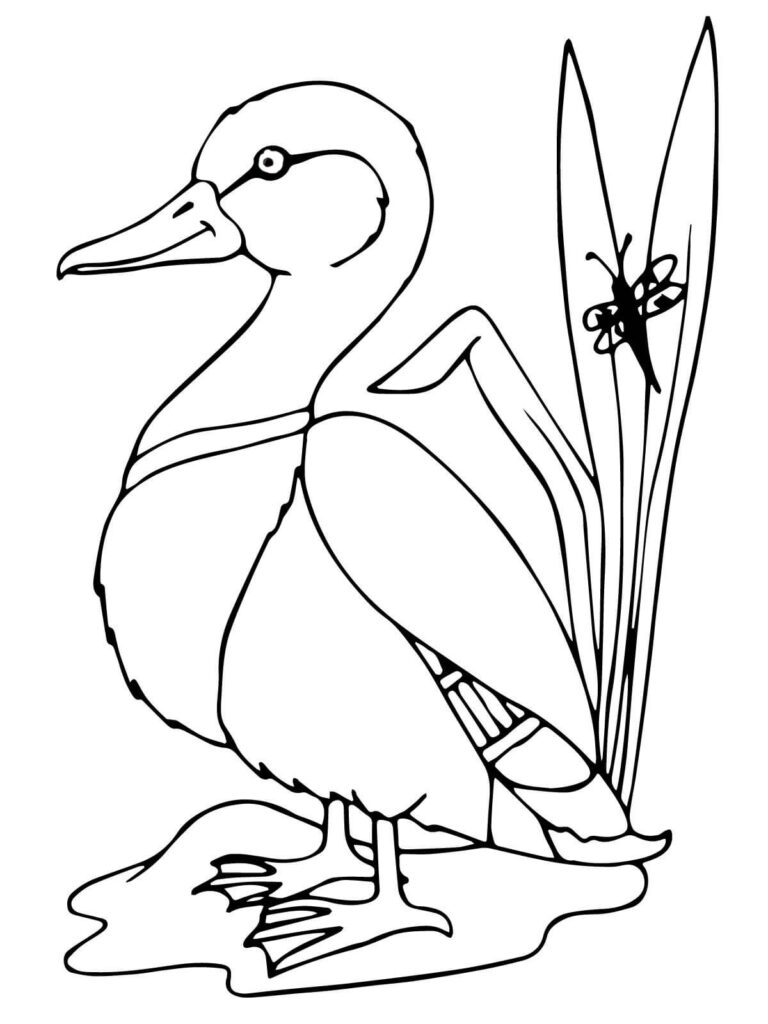 Desenho de Pato Pdf para Colorir