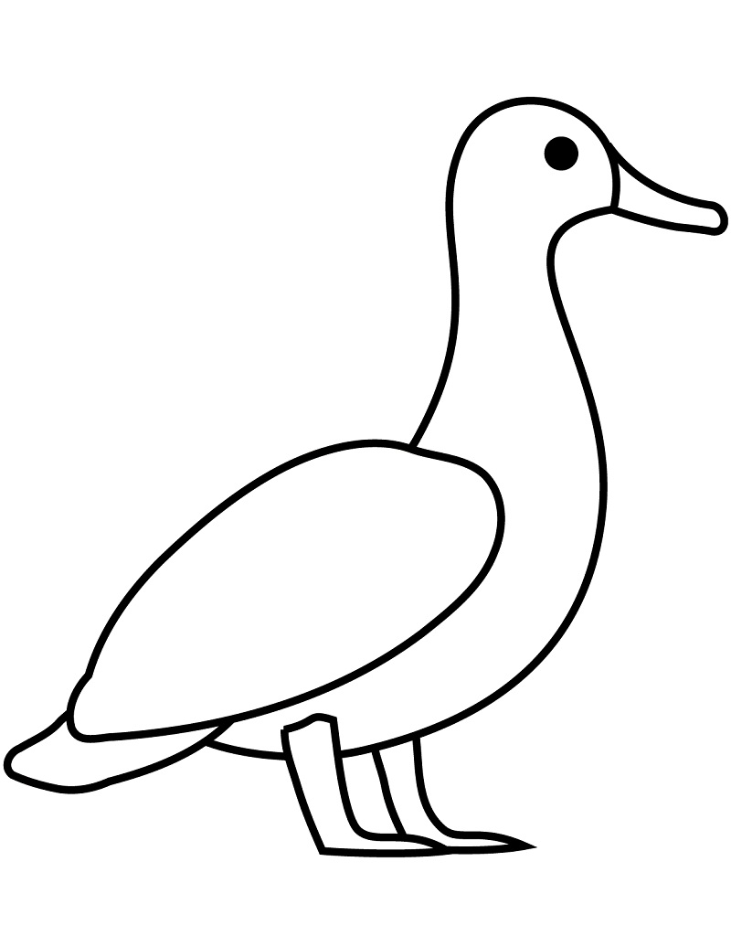 Desenho Pato Simples para Colorir