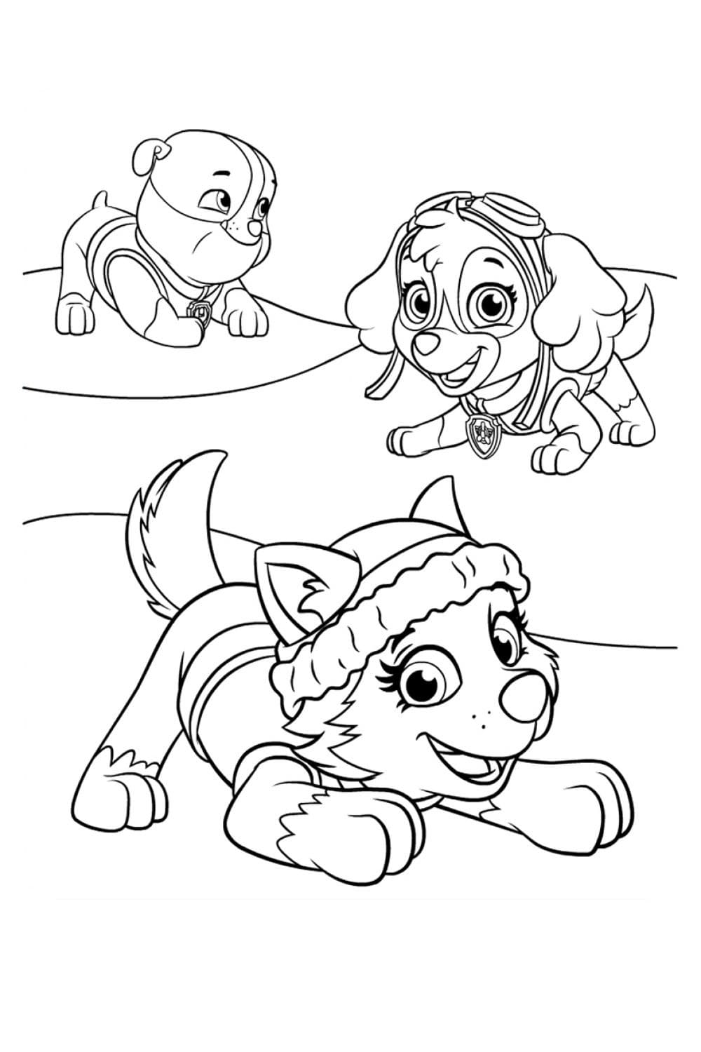 Desenho da Patrulhá Canina Brincando no Jardim para Colorir