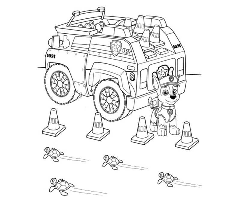 Desenho de Chase Patrulhá Canina para Colorir