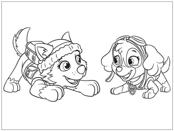 Desenho de Everest e Skye de Patrulhá Canina para Colorir