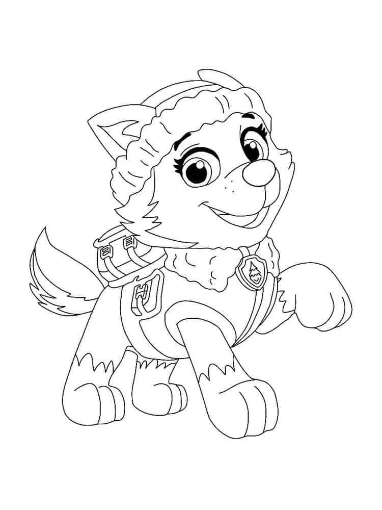 Desenho de Everest Patrulhá Canina para Colorir