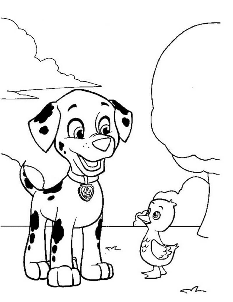 Desenho de Marshall e Patinho para Colorir