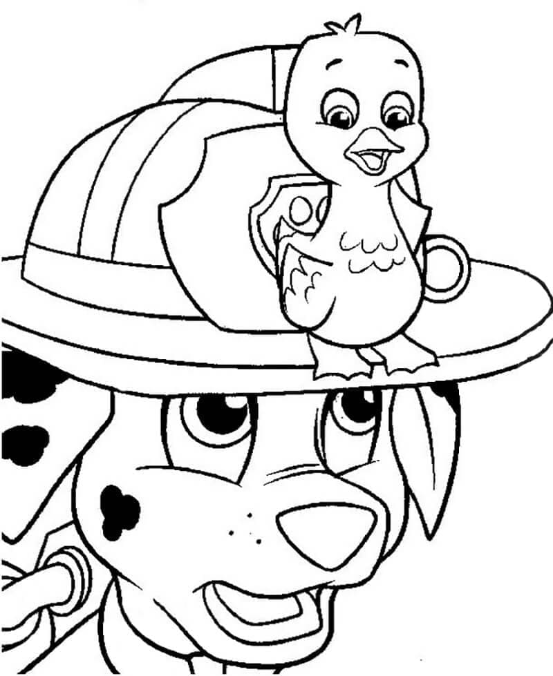 Desenho de Patrulhá Canina Marshall e Patinho para Colorir