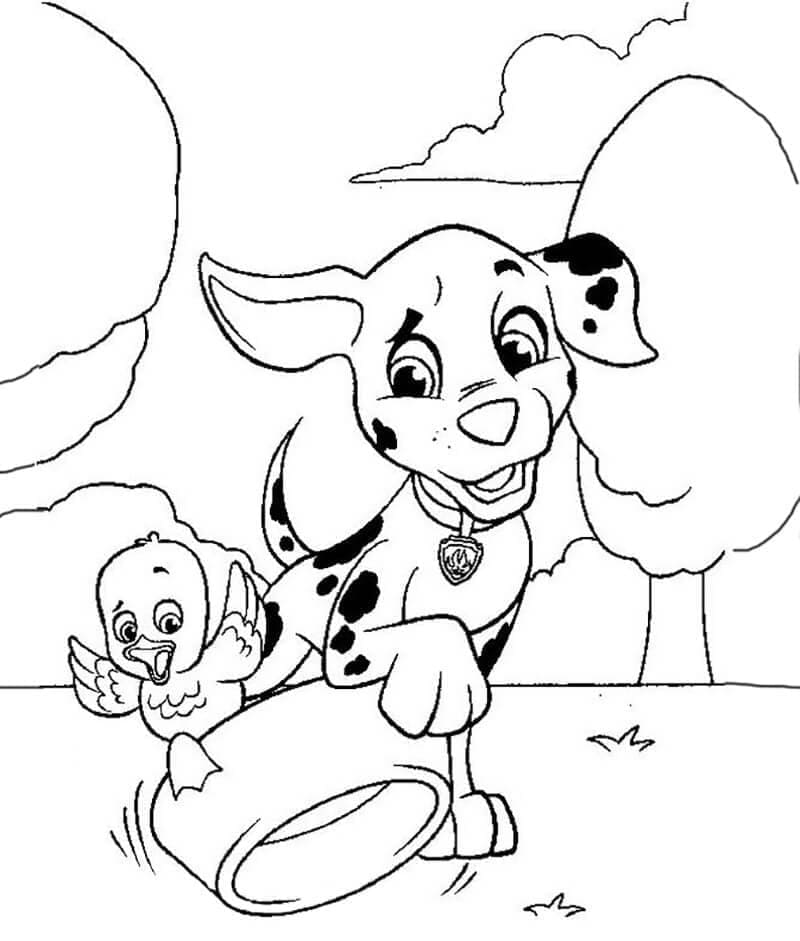 Desenho de Patrulhá Canina Marshall e Pato para Colorir