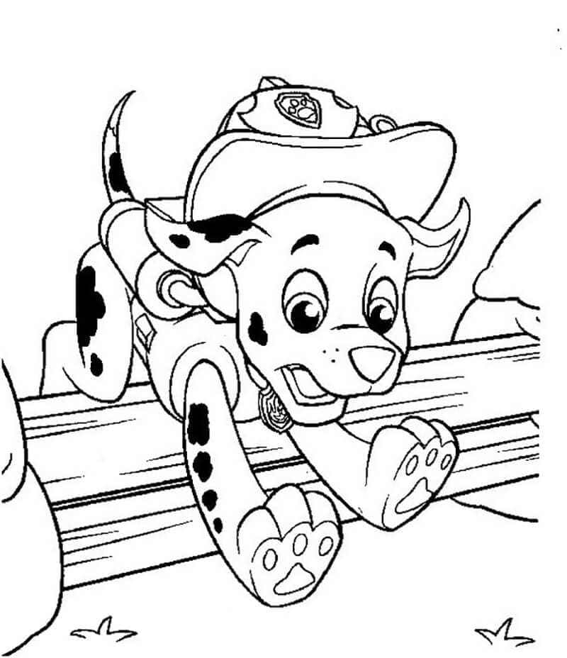Desenho de Patrulhá Canina Marshall Imprimivel para Colorir