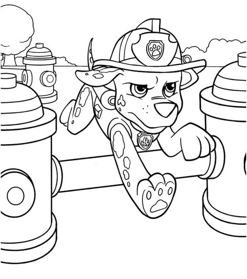 Desenho de Patrulhá Canina Marshall Incrível para Colorir