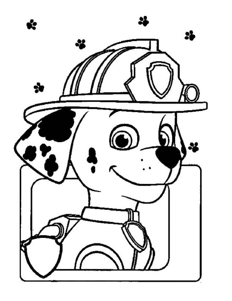 Desenho de Patrulhá Canina Marshall Sorridente para Colorir