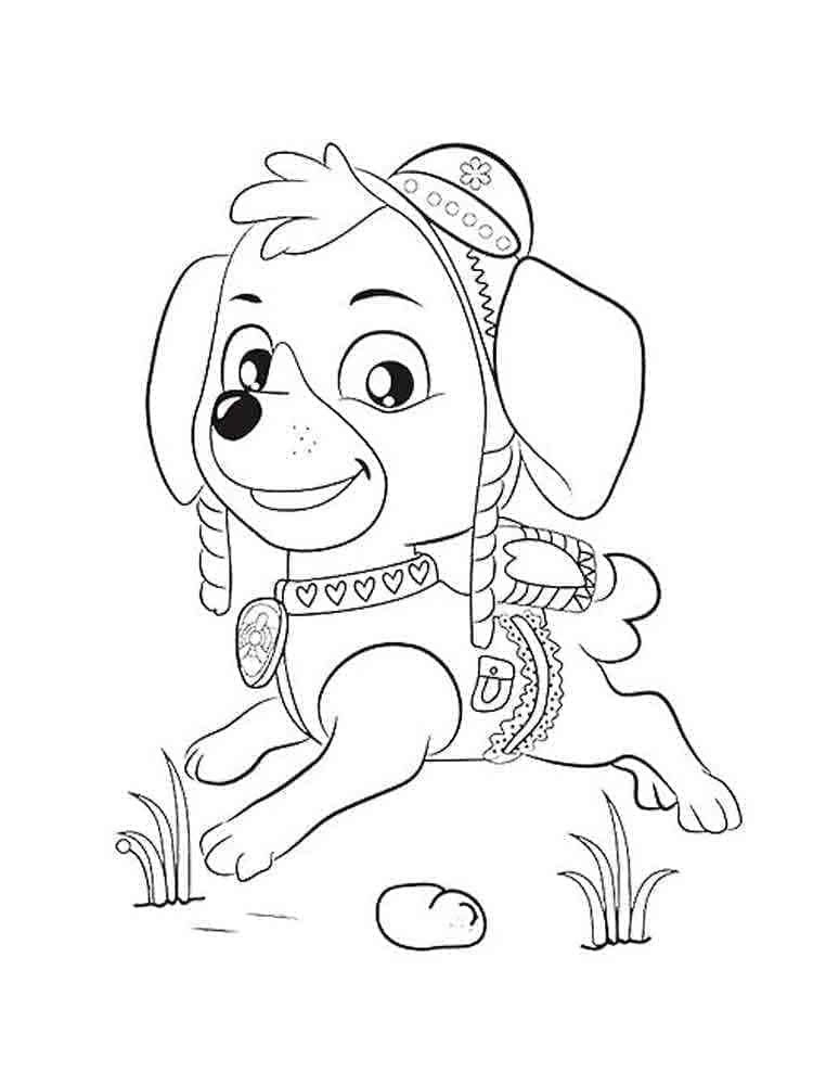 Desenho de Patrulhá Canina Skye para Colorir