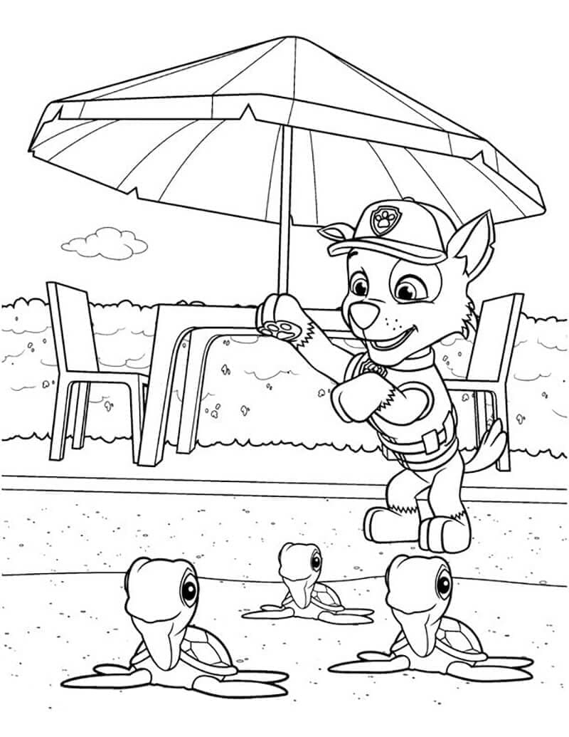 Desenho de Rocky e Tartarugas para Colorir