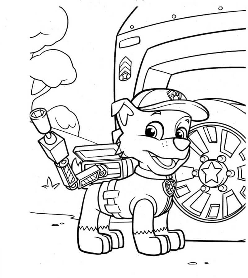 Desenho de Rocky na Patrulhá Canina para Colorir