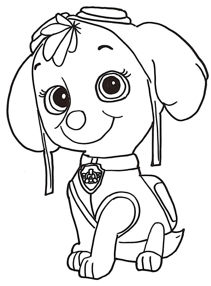 Desenho de Skye da Patrulhá Canina para Pintar e Colorir