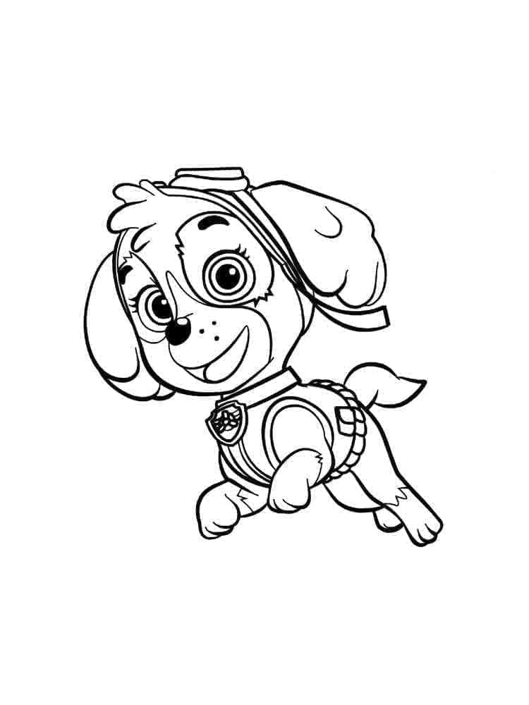 Desenho de Skye Patrulhá Canina Adorável para Colorir