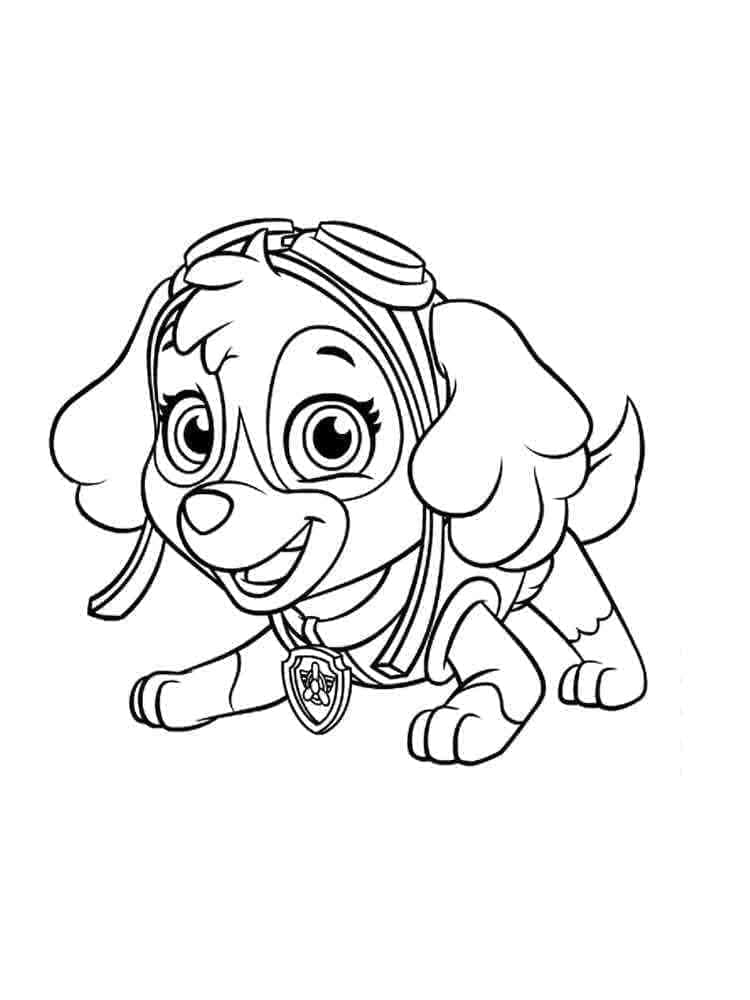 Desenho de Skye Patrulhá Canina Grátis para Crianças para Colorir