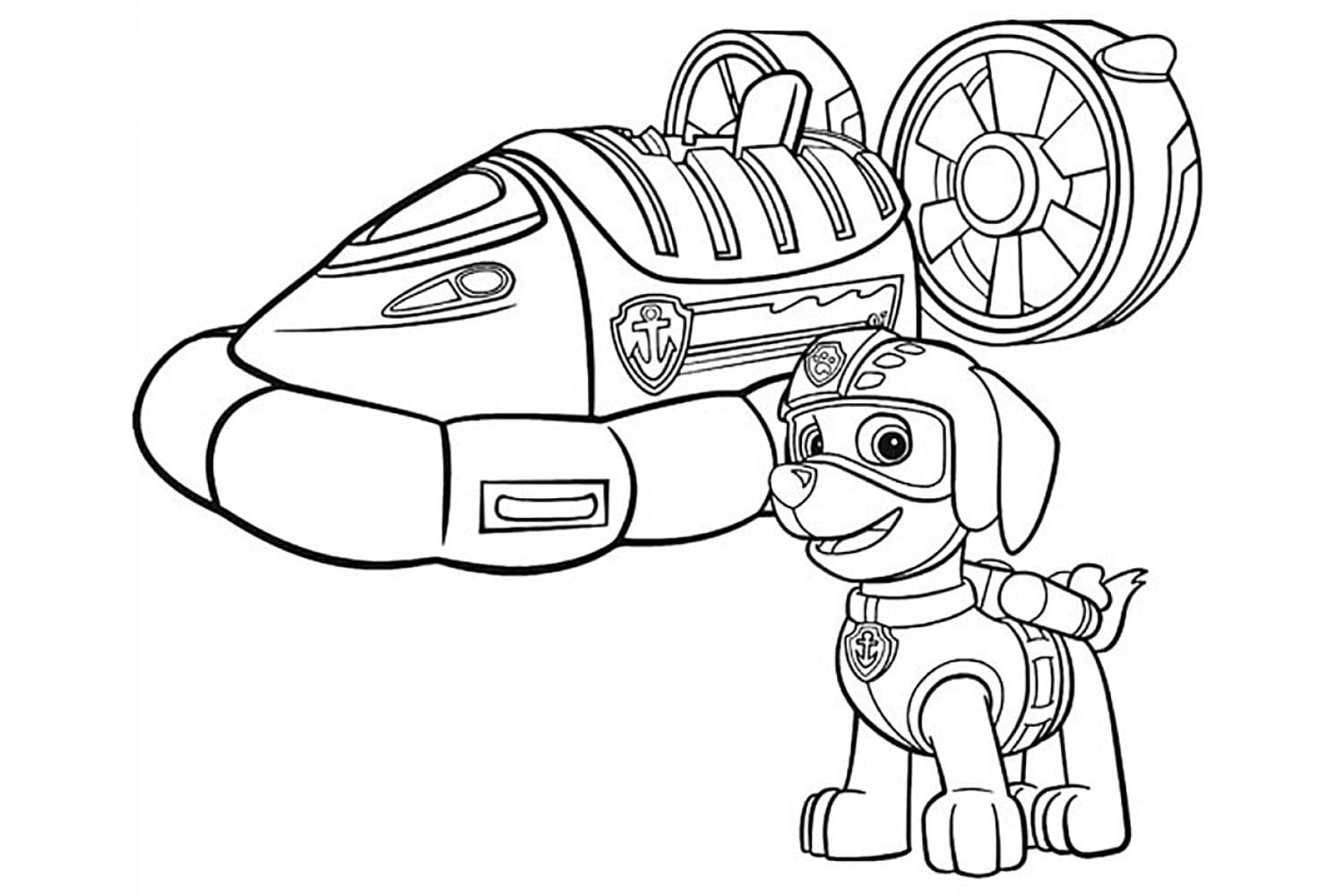Desenho de Zuma da Patrulhá Canina para Pintar e Baixar