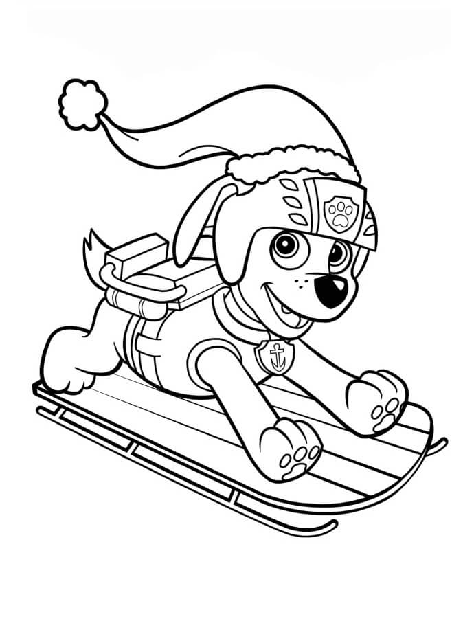 Desenho de Zuma da Patrulhá da Pata Download Grátis