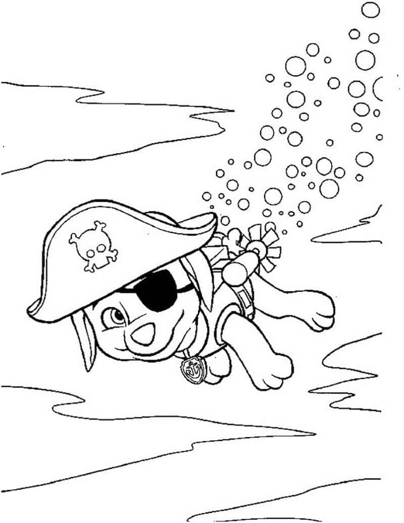 Desenho de Zuma Patrulhá Canina Nadador para Colorir