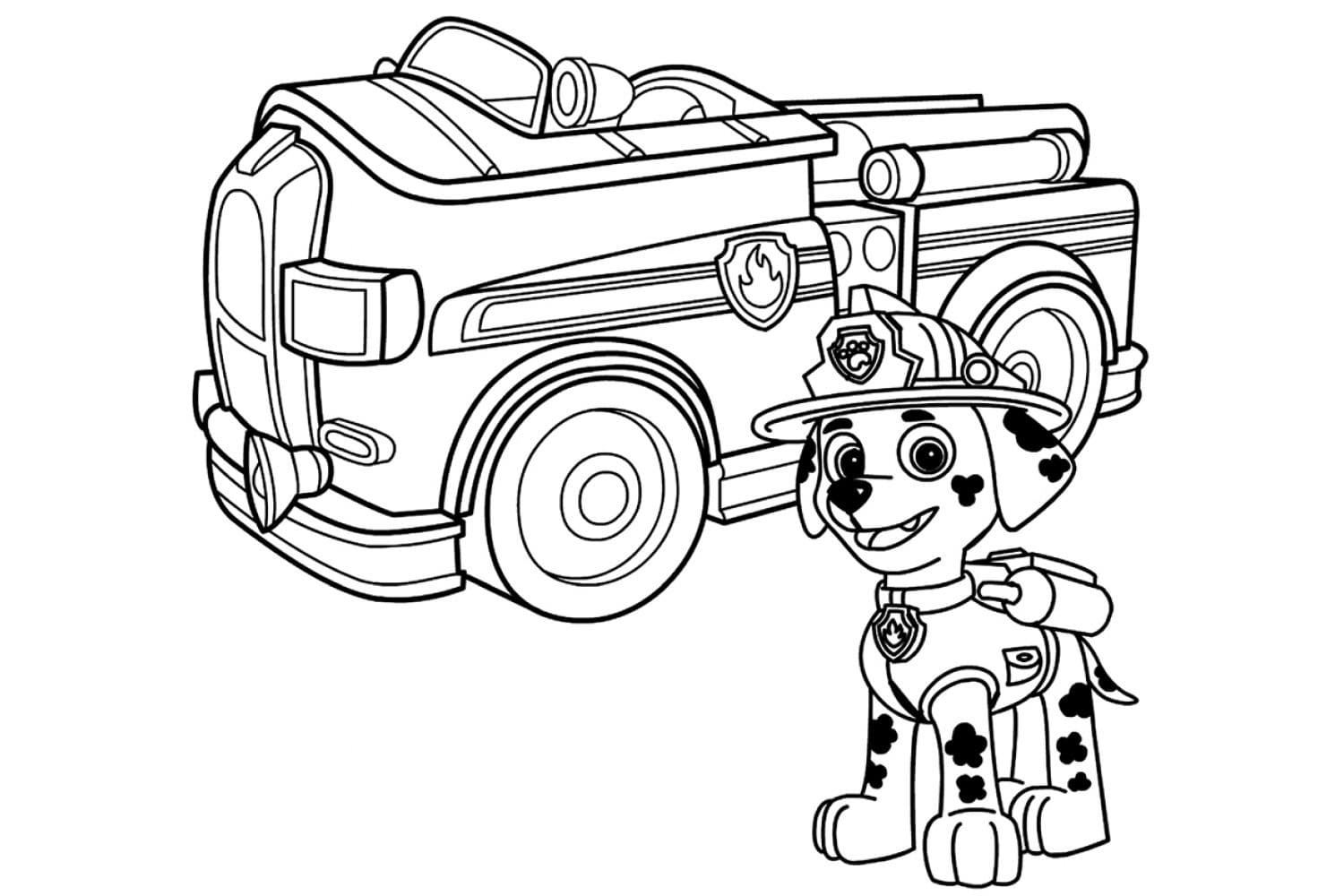Desenho Marshall de Patrulha Canina para Colorir