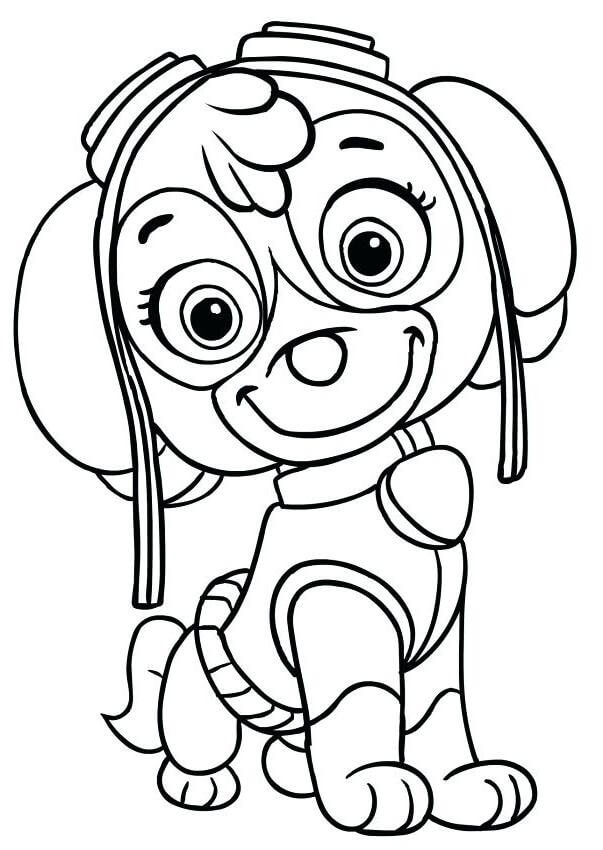 Desenho Patrulha Skye para Colorir