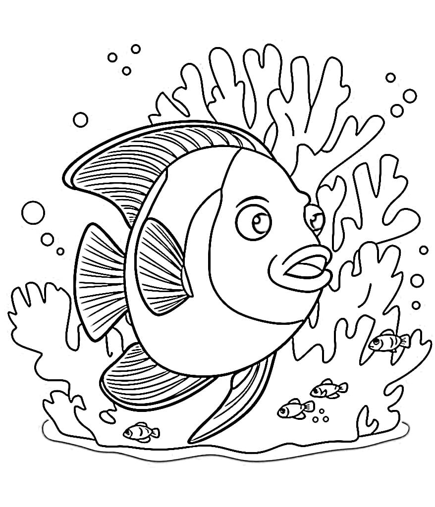 Desenho de Peixe Anjo Fantasiá para Colorir