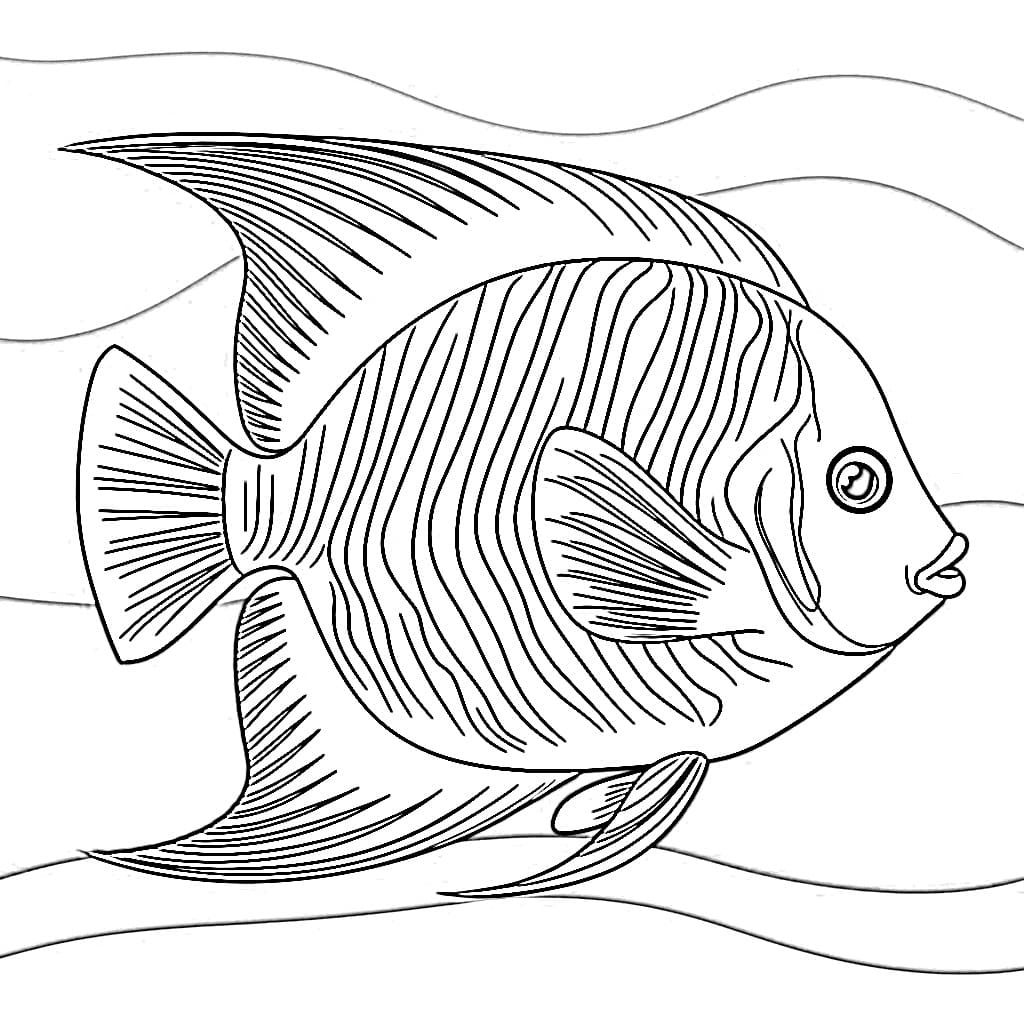 Desenho de Peixe Anjo Imprimivel para Pintar