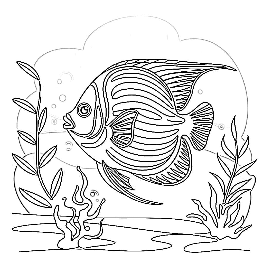 Desenho de Peixe Anjo Marinho para Colorir