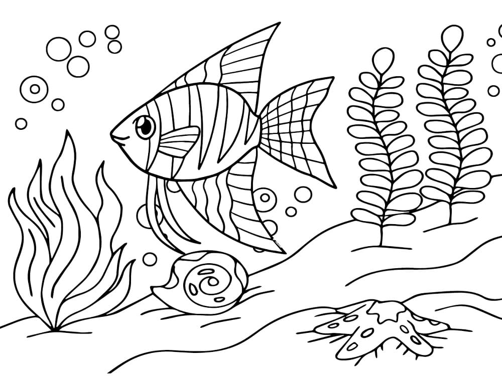 Desenho de Peixe Anjo Nadando para Colorir