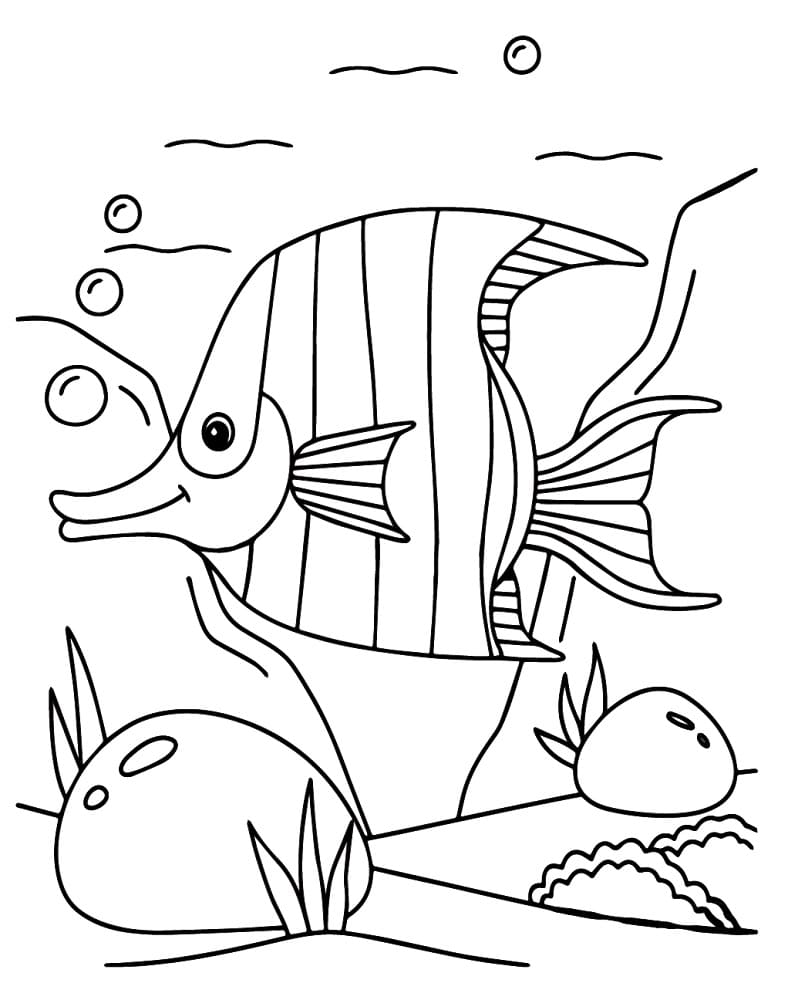 Desenho de Peixe Anjo no Mar para Colorir