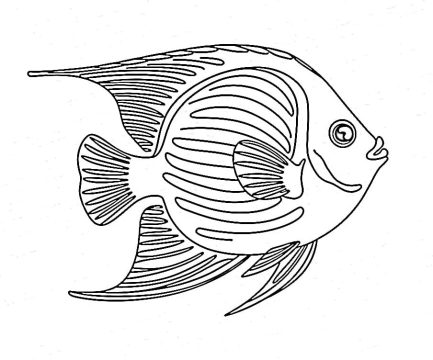 Desenho de Peixe Anjo para Colorir