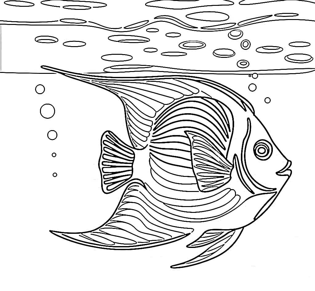 Desenho de Peixe Anjo para Colorir e Imprimir