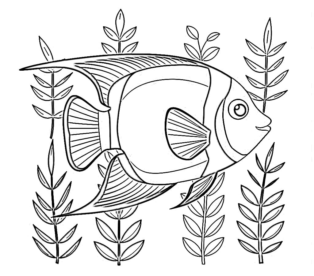 Desenho de Peixe Anjo para Colorir e Pintar