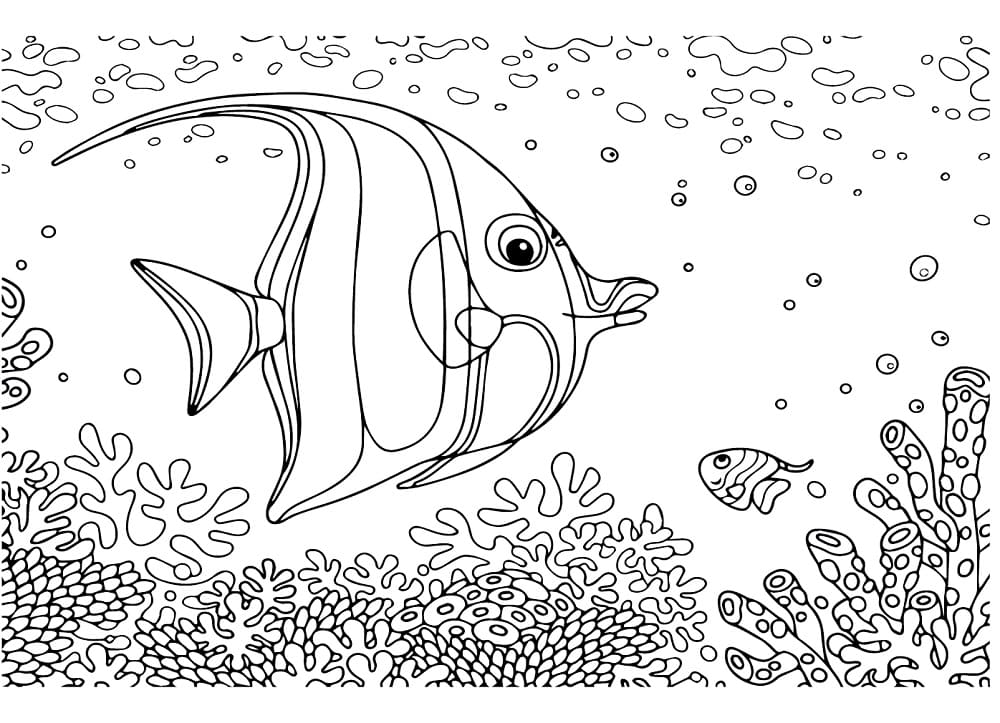 Desenho de Peixe Anjo para Colorir Lápis de Cor