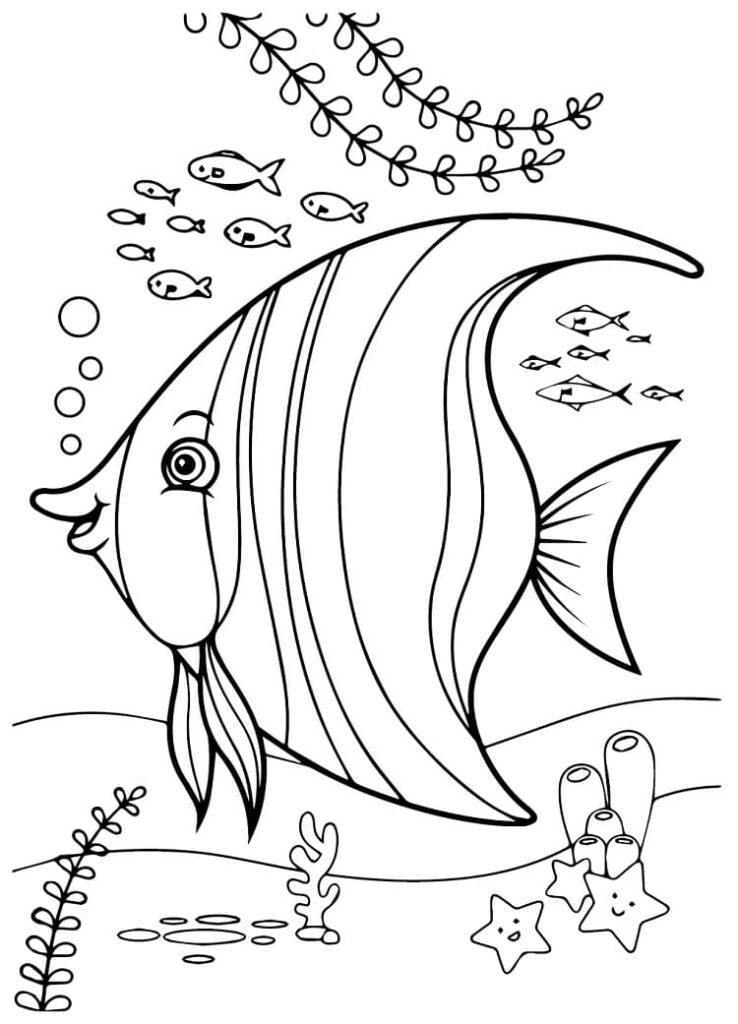 Desenho de Peixe Anjo Pdf para Imprimir