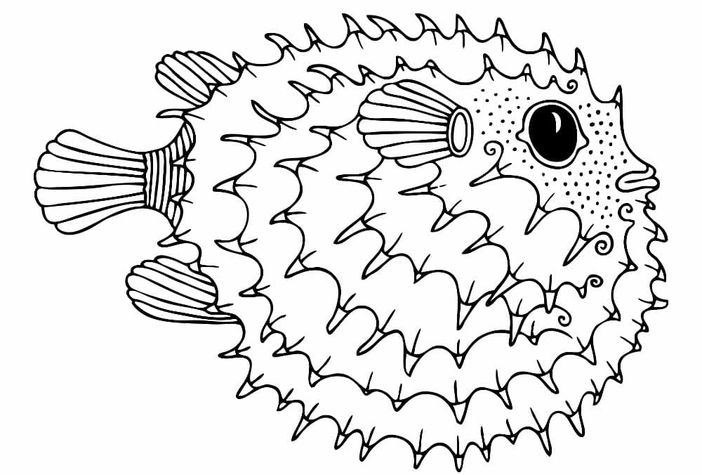 Desenho de Baiacu do Oceano para Colorir