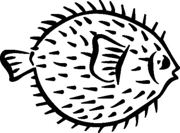 Desenho de Baiacu Grátis para Crianças para Colorir