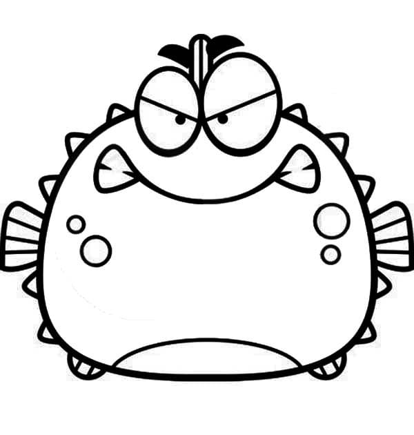 Desenho de Baiacu Irritado para Colorir