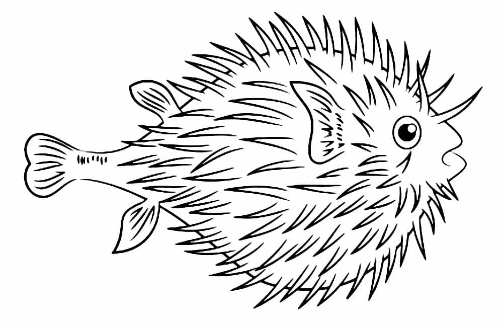 Desenho de Baiacu para Baixar em Pdf e Colorir