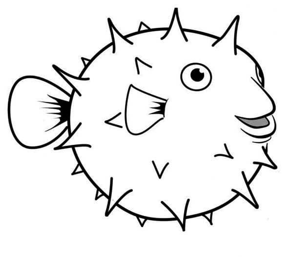 Desenho de Baiacu Sorridente para Colorir