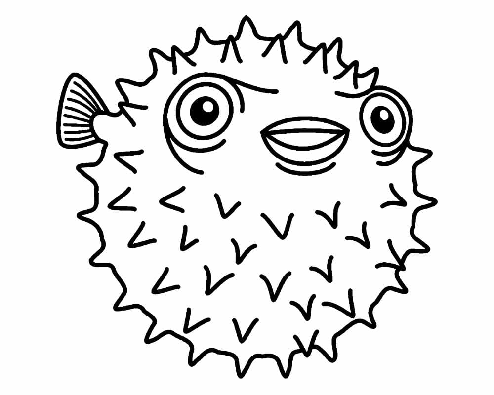 Desenho em Pdf de Baiacu para Colorir