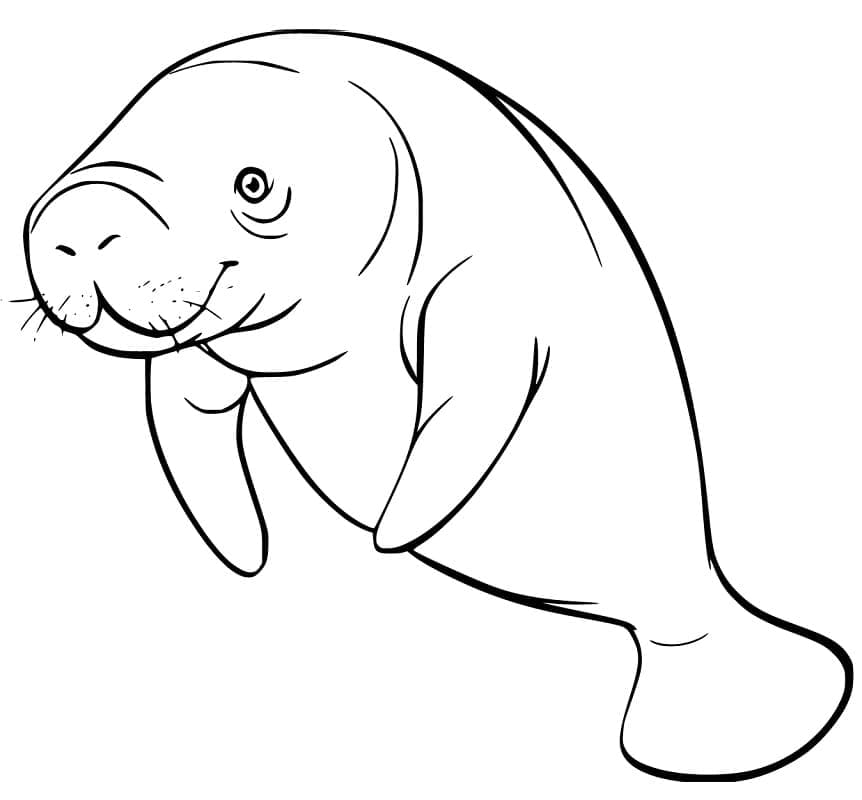 Desenho de Foto de Peixe Boi para Colorir