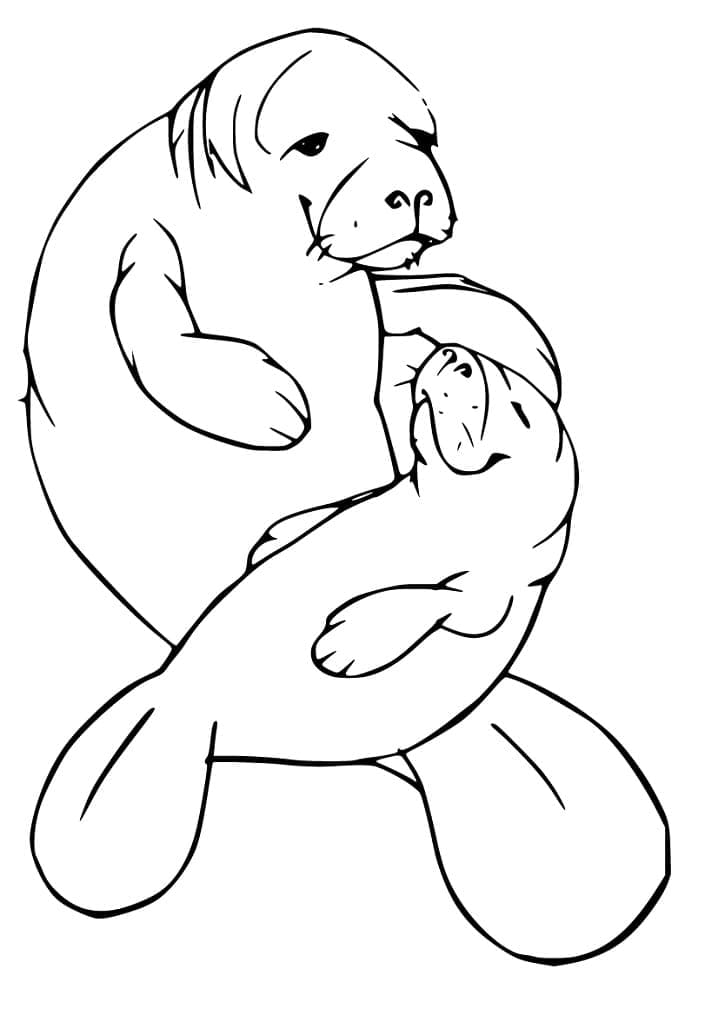 Desenho de Imagem de Peixe Boi para Colorir