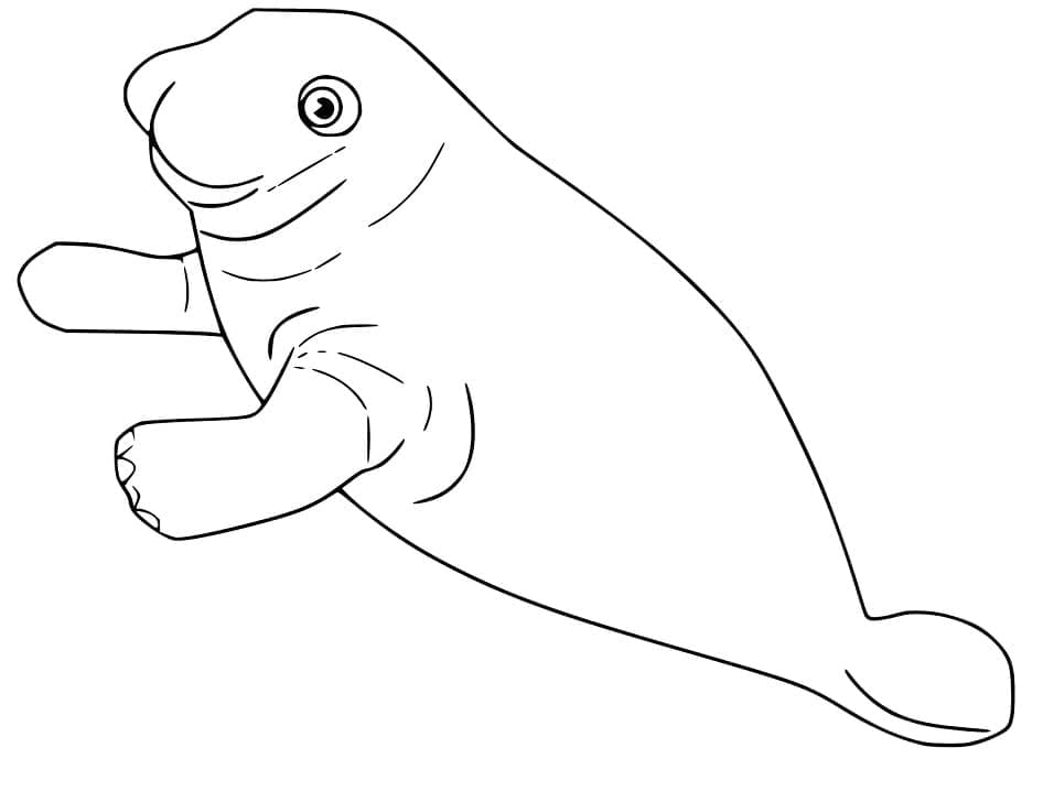 Desenho de Peixe Boi Fácil para Colorir