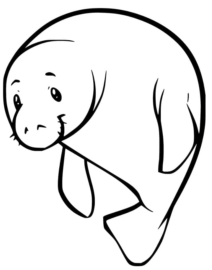 Desenho de Peixe Boi Feliz para Colorir