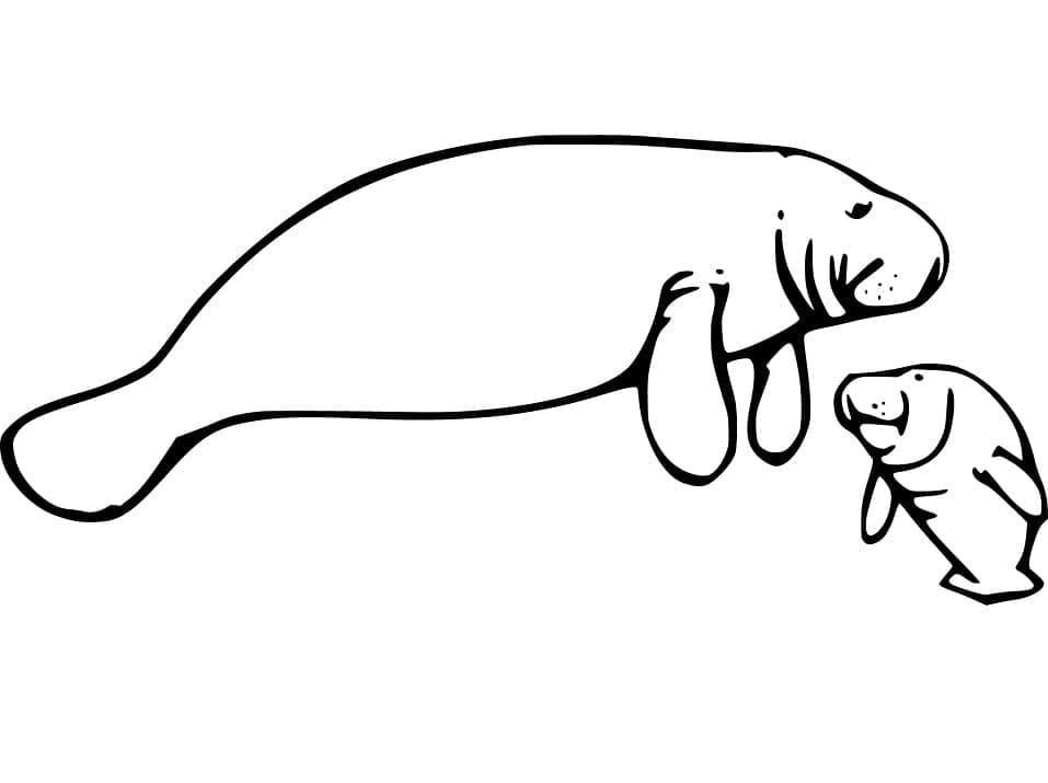Desenho de Peixe Boi Imprimivel Grátis para Crianças para Colorir