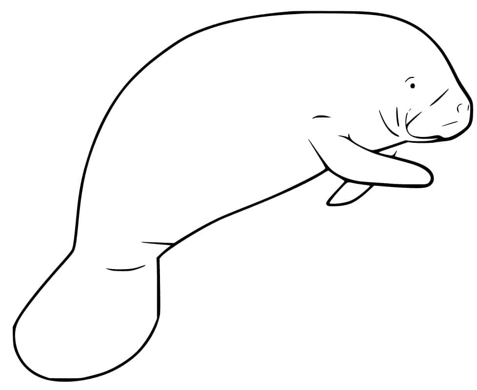 Desenho de Peixe Boi Imprimivel para Crianças para Colorir