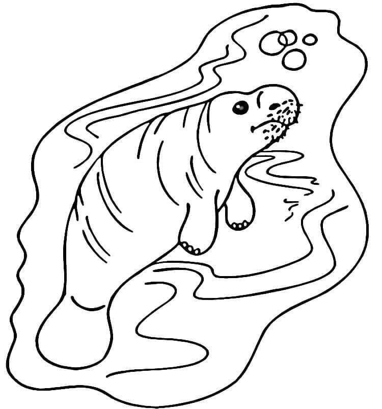 Desenho de Peixe Boi para Crianças de 1 Ano para Colorir